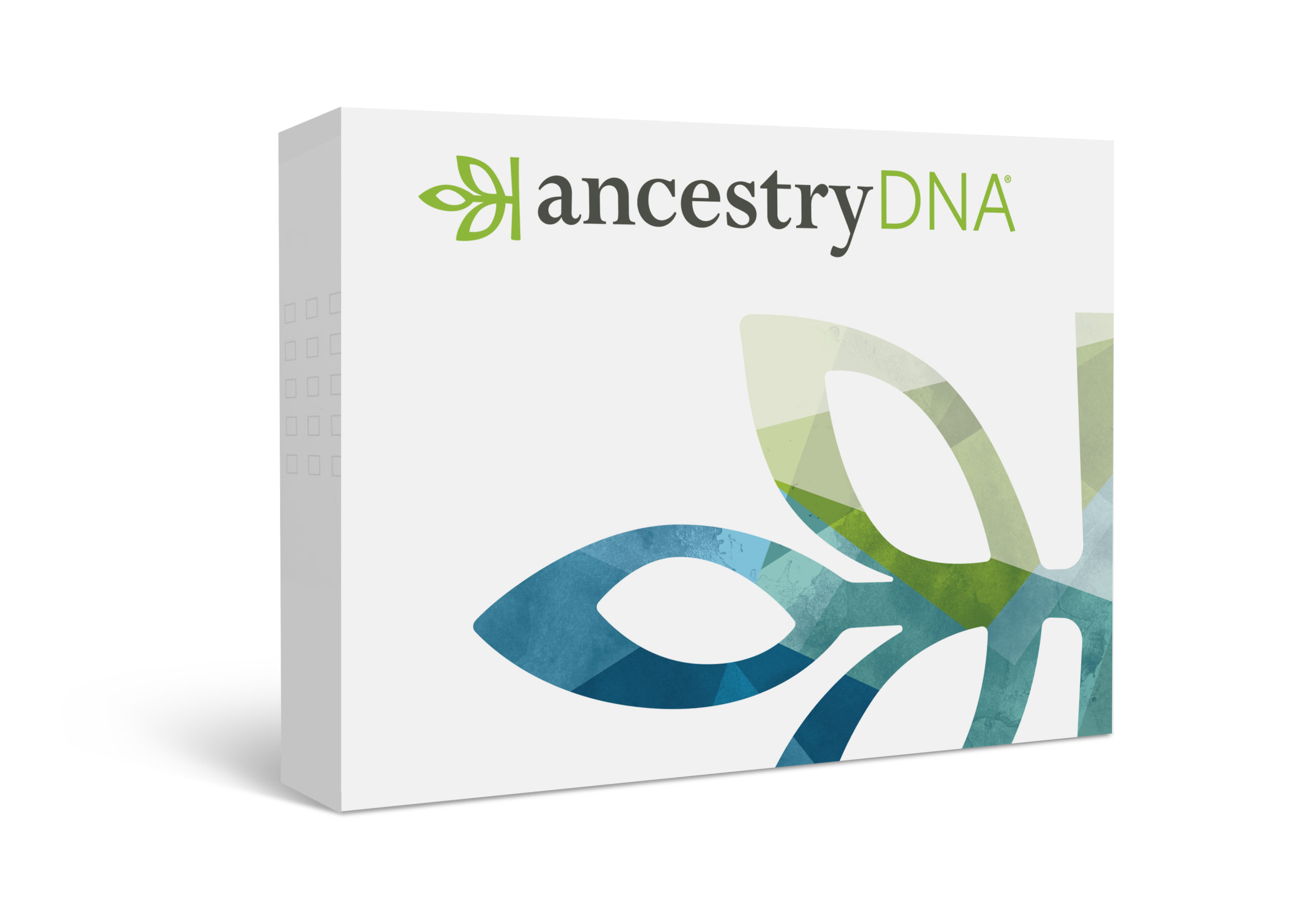 Ancestry DNA Test